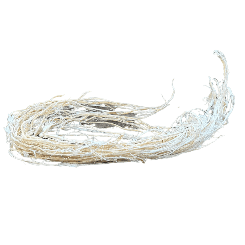 Copy of 3316 Processed Deer Leg Sinew