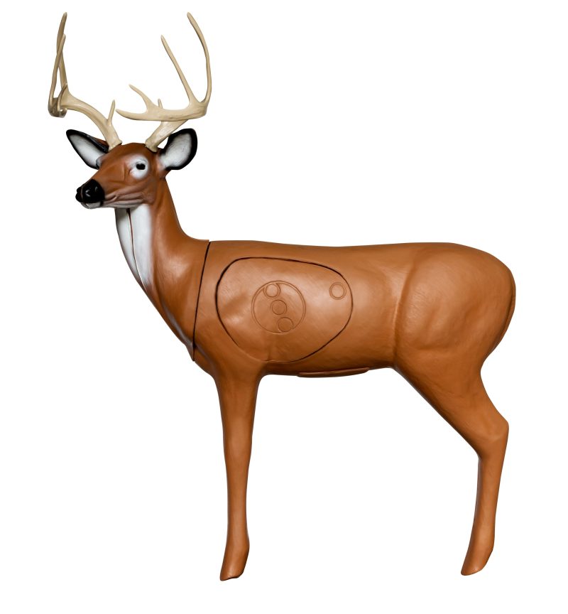 Double Duty Buck Profile