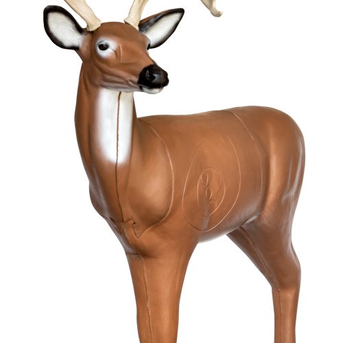 MSAlertBuck