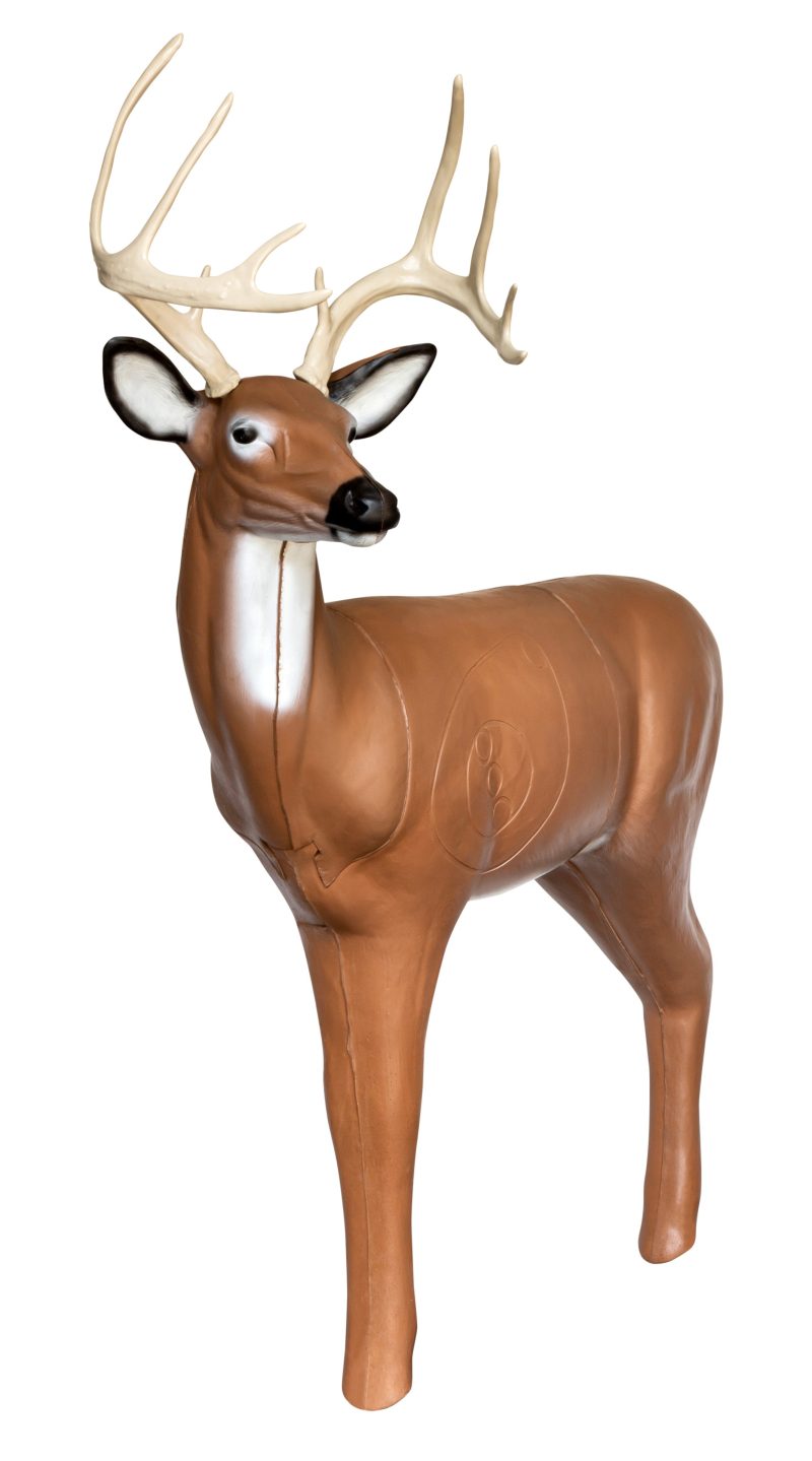 MSAlertBuck